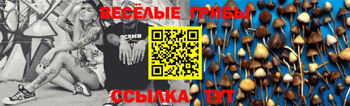 Киров  Галлюциногенные грибы Cubensis  Галлюциногенные грибы мухоморы  Вход с VPN 